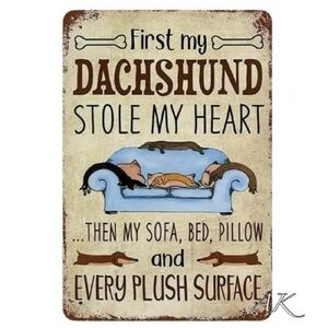 First My DACHSHUND STOLE MY HEART THEN MY SOFA, BED, PILLOW Tin Sign 🐾 Doxie